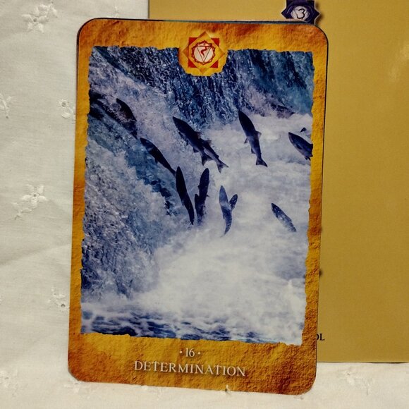 Chakra Reading Cards - Picture 7 of 11